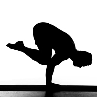 Fundamentos do Yoga: Os 7 Pilares do Equilíbrio Físico